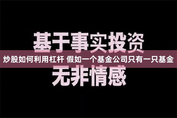 炒股如何利用杠杆 假如一个基金公司只有一只基金