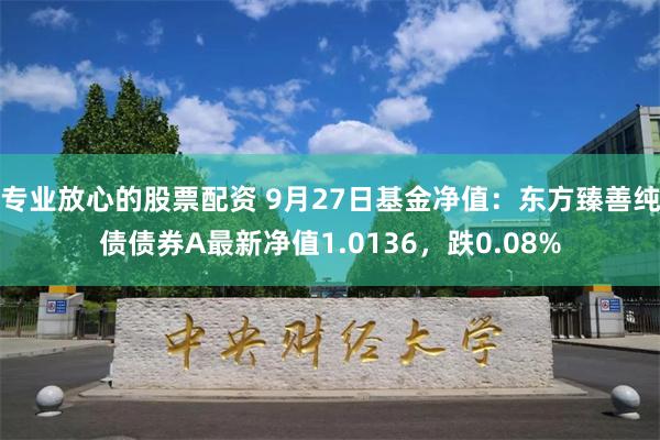 专业放心的股票配资 9月27日基金净值：东方臻善纯债债券A最新净值1.0136，跌0.08%