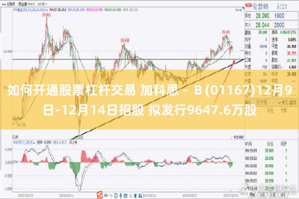 如何开通股票杠杆交易 加科思－Ｂ(01167)12月9日-12月14日招股 拟发行9647.6万股