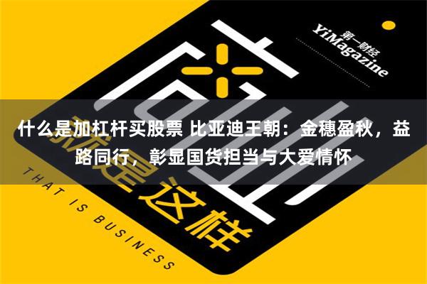 什么是加杠杆买股票 比亚迪王朝：金穗盈秋，益路同行，彰显国货担当与大爱情怀