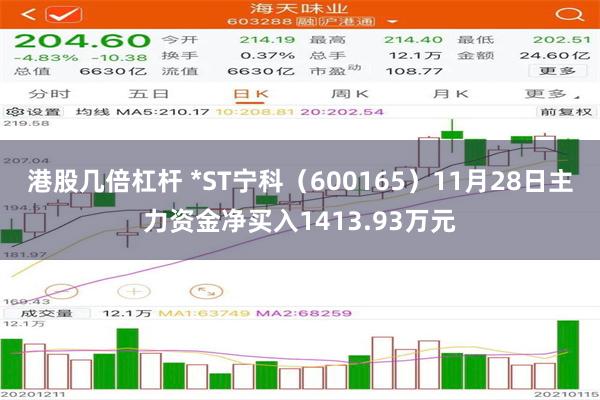 港股几倍杠杆 *ST宁科（600165）11月28日主力资金净买入1413.93万元