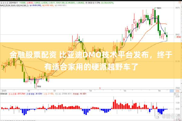 金融股票配资 比亚迪DMO技术平台发布，终于有适合家用的硬派越野车了